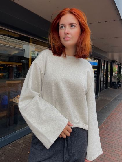 Ame Idem Grey Sweater LG02